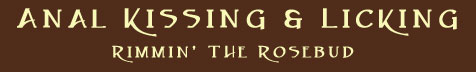 Anal Kissing, Licking, and Rimming